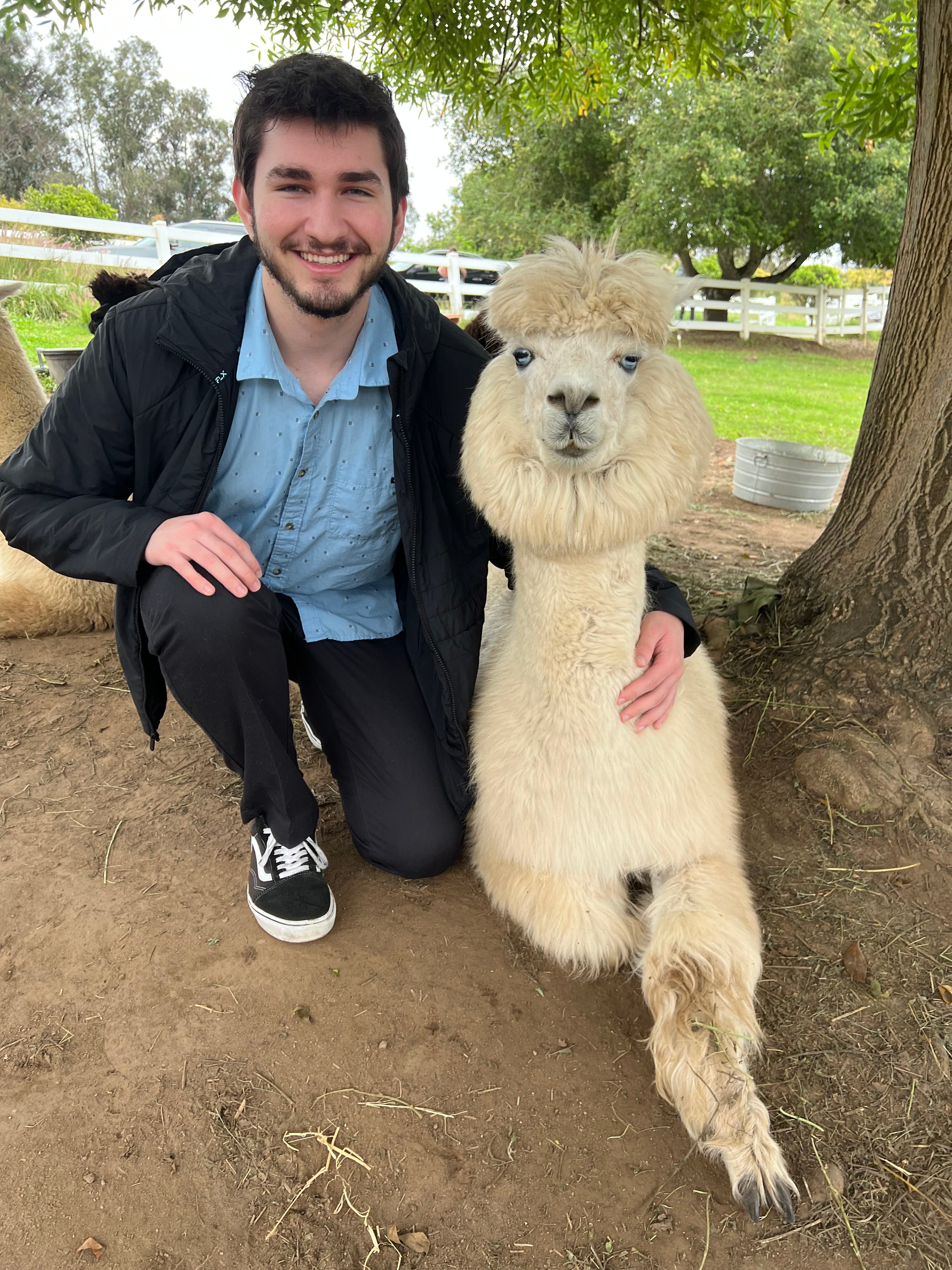 About Nick - Image 4